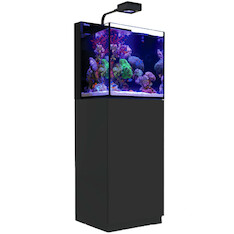 Red Sea Max Nano Cube schwarz