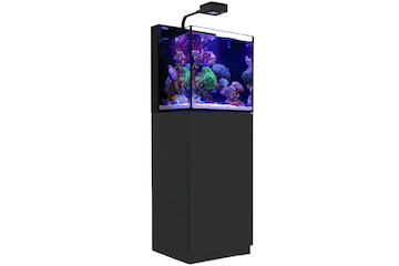 Red Sea Max Nano Cube schwarz