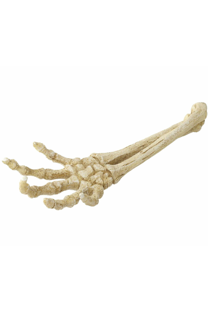 Aqua Della Skeleton Hand