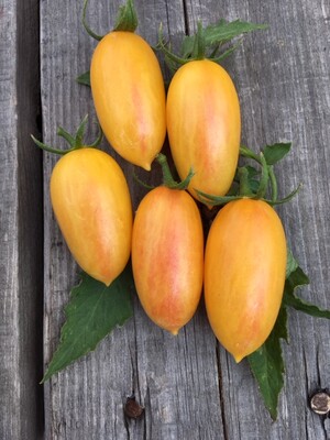 Tomate