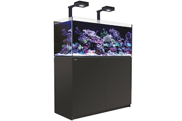 Red Sea Reefer 425 G2+ MAX schwarz