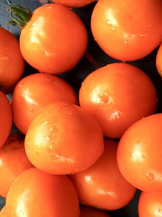 Tomate „Sundrop“ - BIO-Tomatensorte