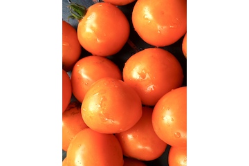 Tomate „Sundrop“ - BIO-Tomatensorte