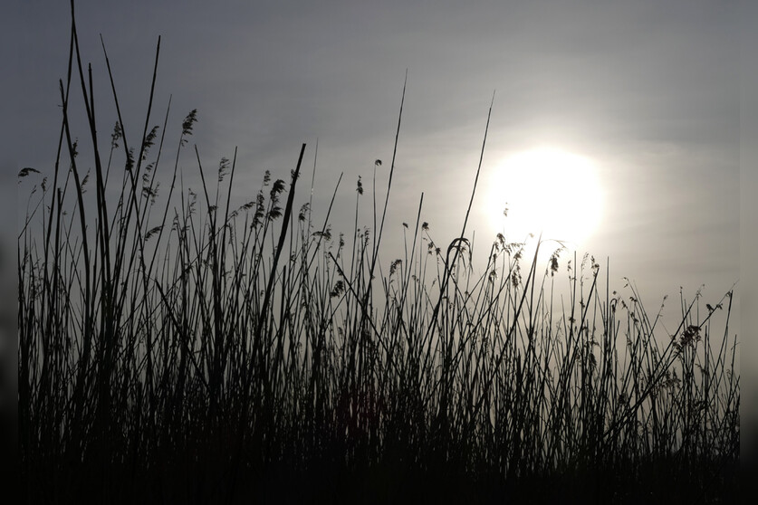 Fotokurs mit Fototour: Nationalpark Zingst