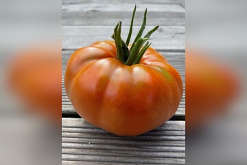 Tomate "Brandywine Rot" - BIO-Tomatensorte [samenfest]