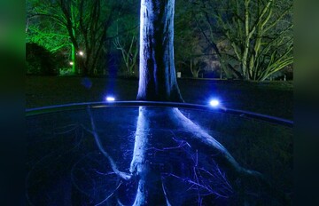 Nacht-Fotokurs: Winterleuchten