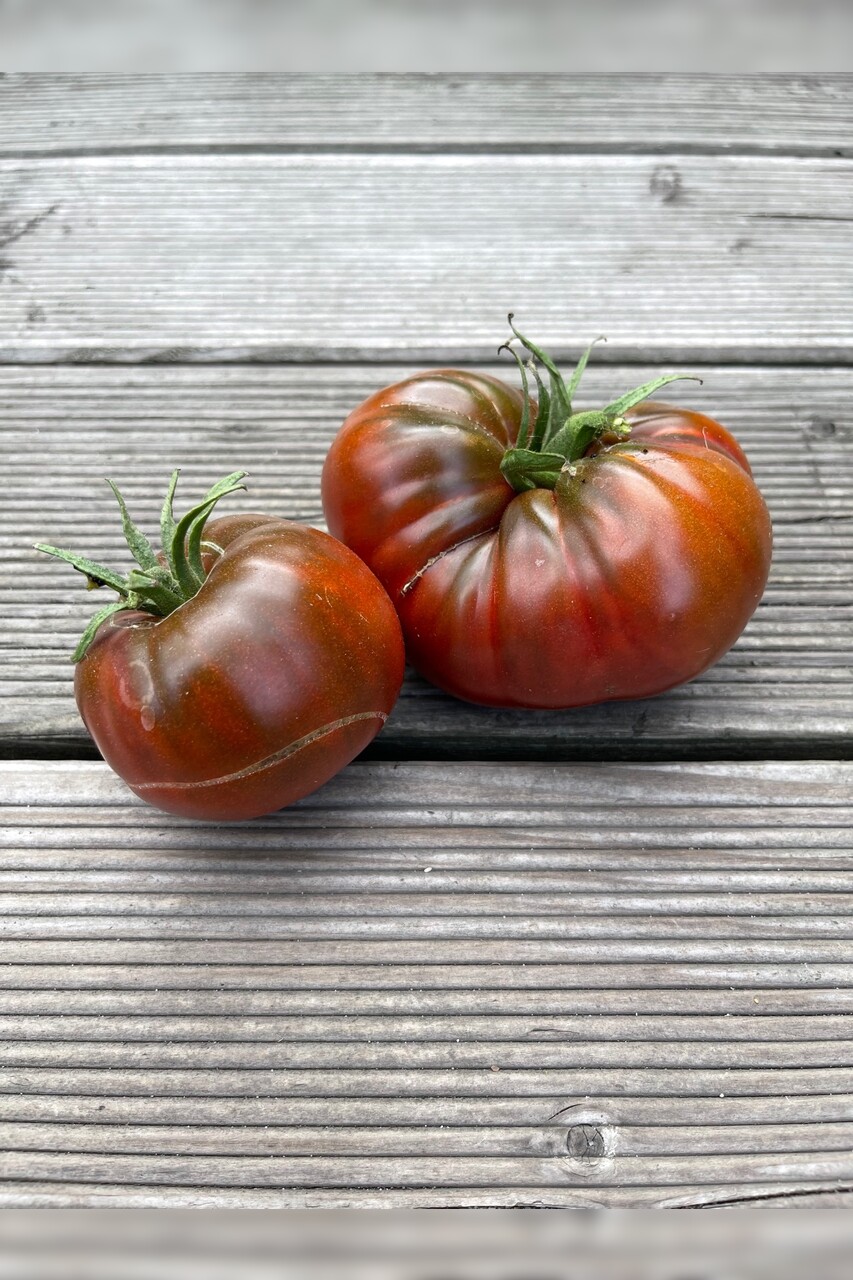 Tomate "Tschernij Prinz" - BIO-Tomatensorte [samenfest]