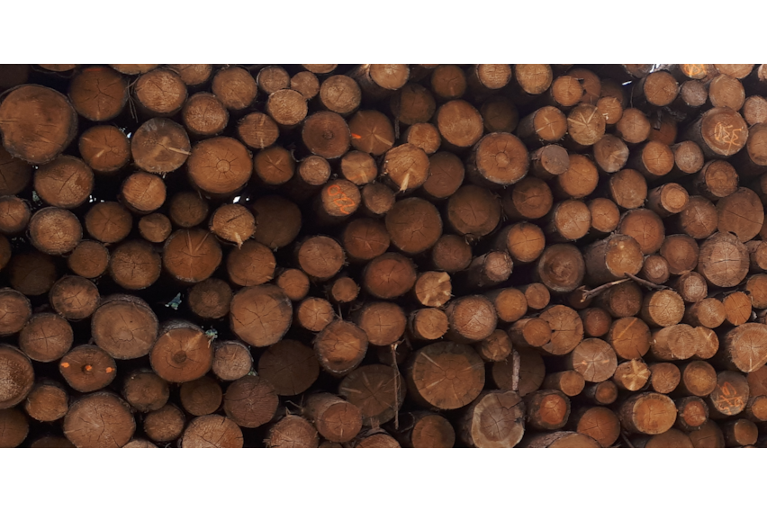Fichte / Kiefer Stammholz - RM (Raummeter)