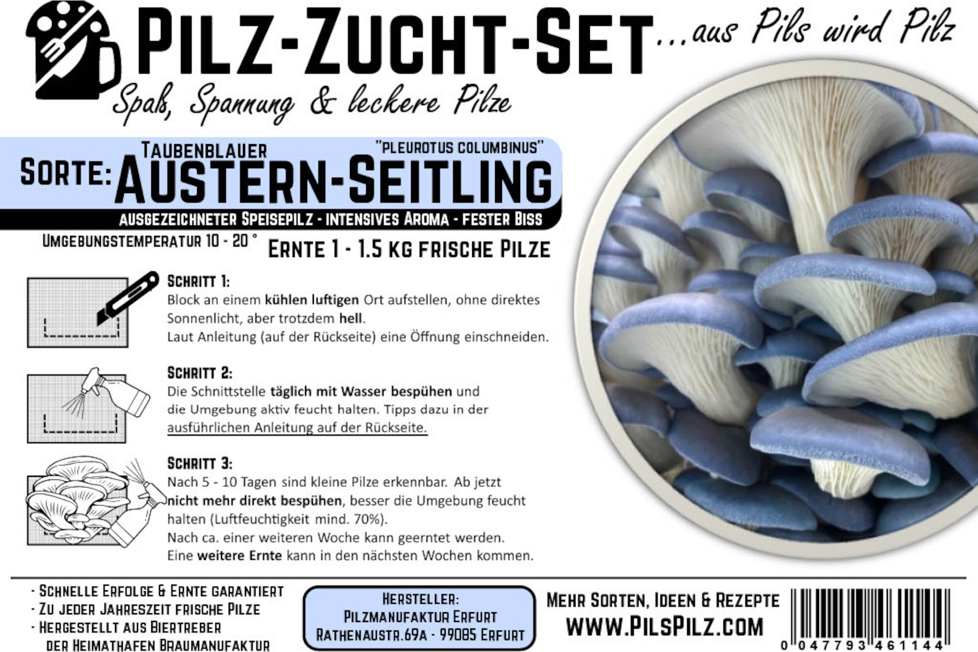 Austernseitling Zucht Set