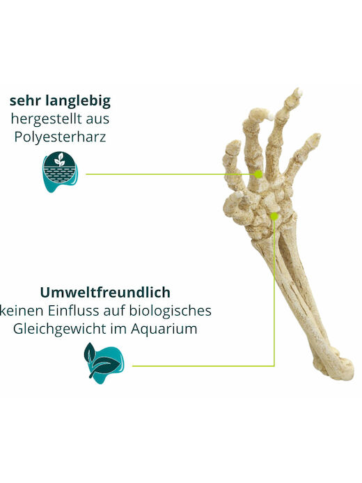 Aqua Della Skeleton Hand