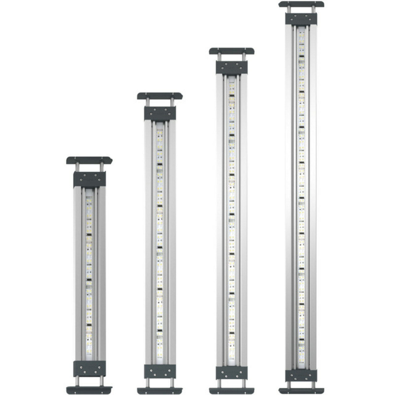 Oase HighLine Premium LED