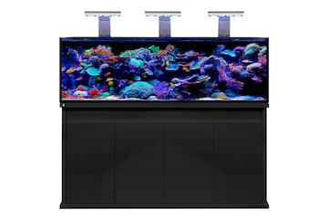 D-D Reef-Pro 1800 BLACK SATIN -  Aquariumsystem