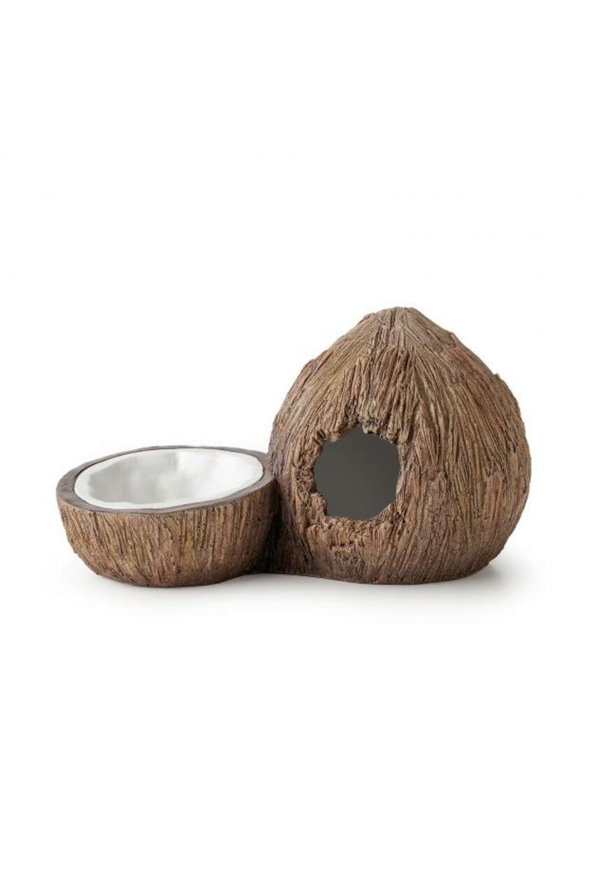 Exo Terra Tiki Kokosnuss Höhle & Wassernapf