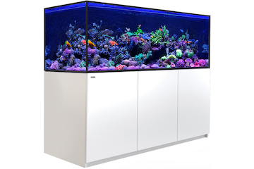 Red Sea Reefer-S 850 G2+ weiss