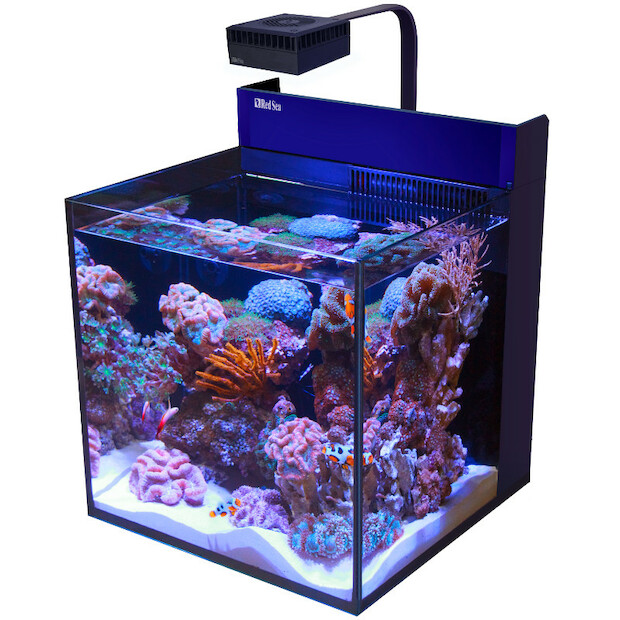 Red Sea Max Nano Cube weiss