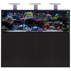 D-D Aqua-Pro Reef 1800- METAL FRAME- BLACK GLOSS