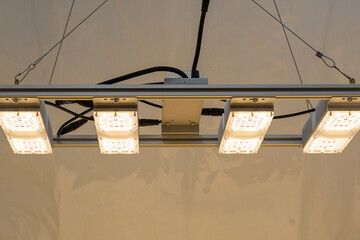 Monster LED M4 LED-Grow-Lampe (V 3.2, dimmbar)