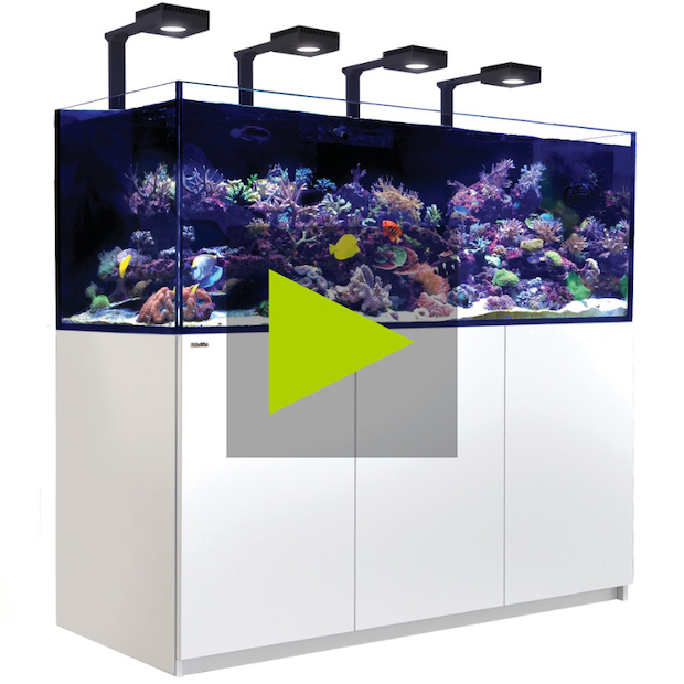 Red Sea Reefer 750 G2+ MAX weiss