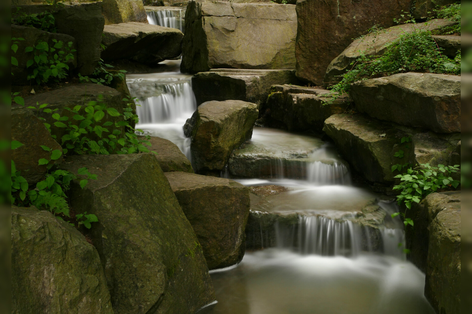 Fotokurs mit Fototour: Maximilianpark