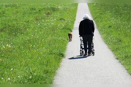 Die Pflege im Ausland: Kosten und Preise für die Versorgung in Alten- & Pflegeheimen außerhalb Deutschlands