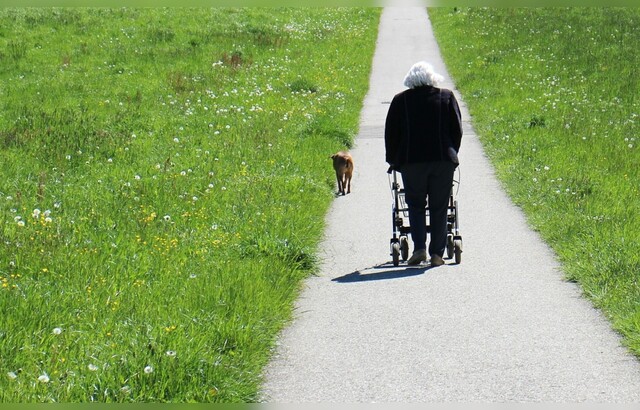 Pflege im Ausland | Kosten | Pflegeheim | Altenheim