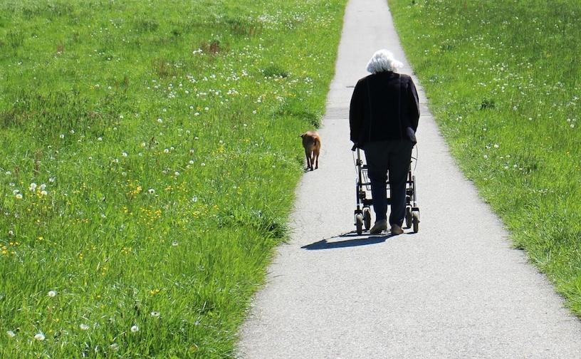 Pflege im Ausland | Pflege Betreuung | Pflege im Alter | Pflege Polen Bild zum Artikel: Pflege im Ausland |Â Kosten | Pflegeheim | Altenheim