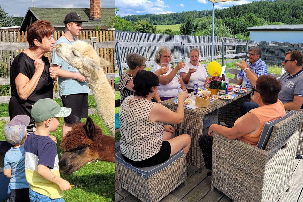 Picknick auf der Alpakaweide für 8 Erwachsene