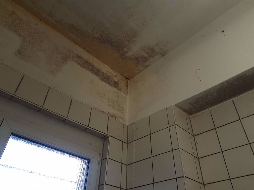 Schimmel in der Dusche. Hier kann sich der Pilz schnell ausbreiten, wenn nicht ausreichend gelüftet wird. Schimmel in der Dusche, Schimmel im Bad, Sanitärbereich, Schimmelpilz, Schwamm, Ekel