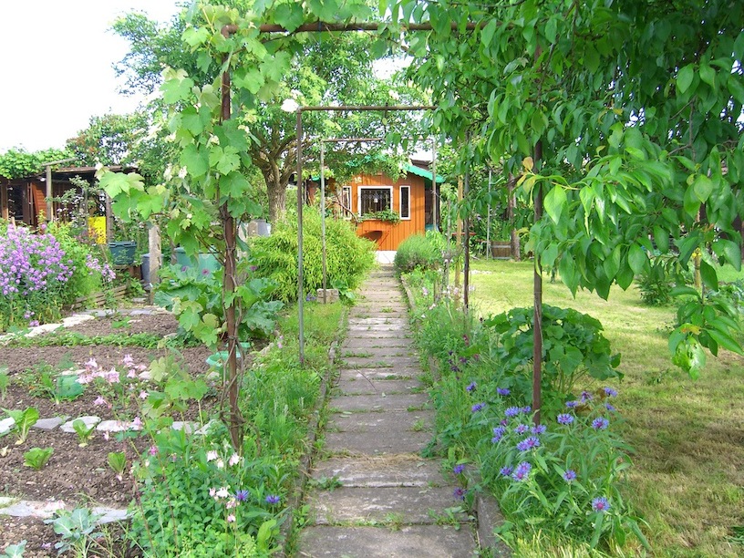 Schrebergarten Gestalten So Wird Der Kleingarten Hubsch Tipps