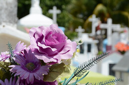 Kosten für Beerdigungen: Finanzieren mit Sterbegeldversicherung oder Kredit?