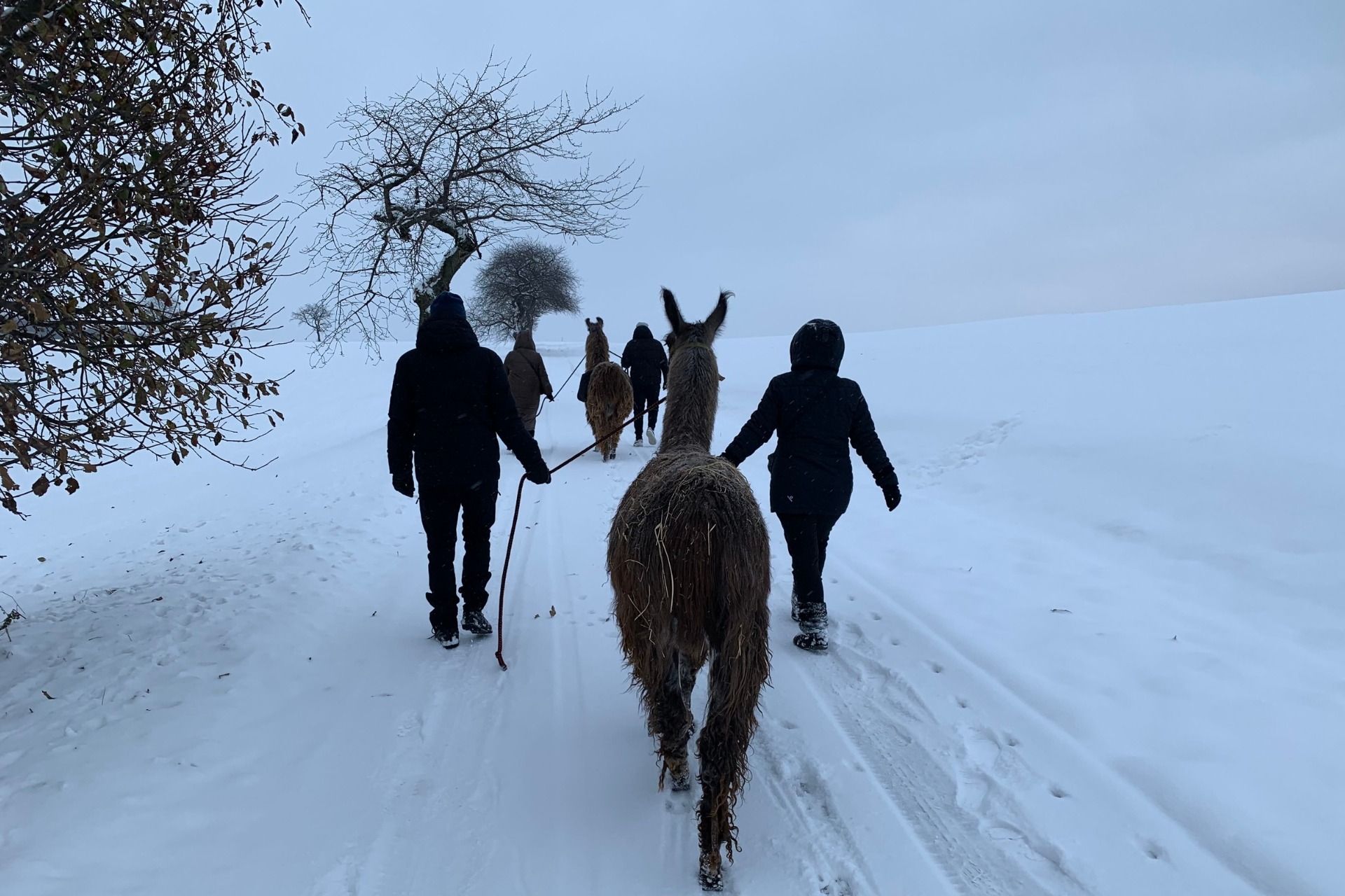Glühweinwanderung Gruppenticket
