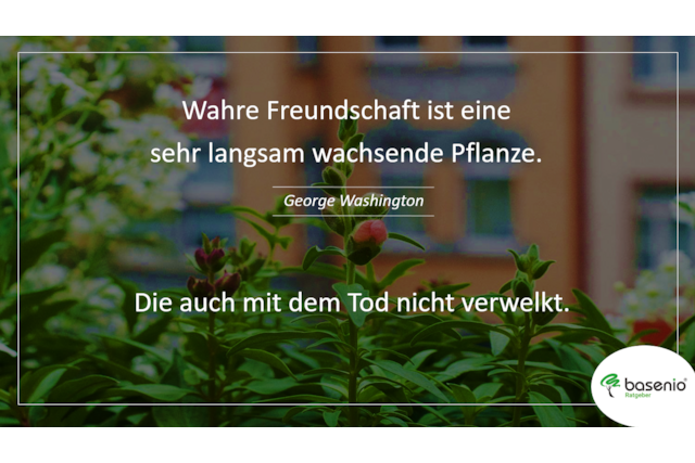 Trauerspruch