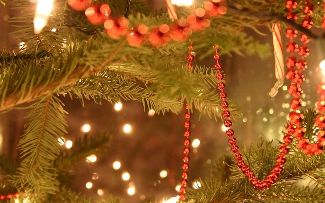 Weihnachtsbaum, Tanne, Tannennadeln, Zweig, grün, rot, Lametta