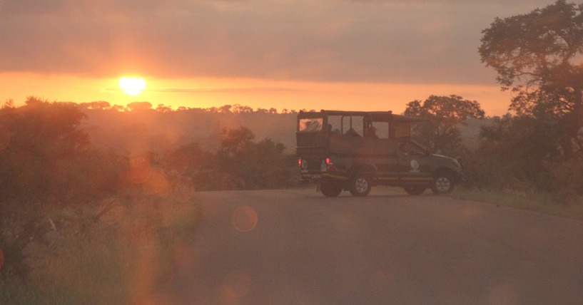 Sonnenuntergang, Safari, Südafrika, Auto