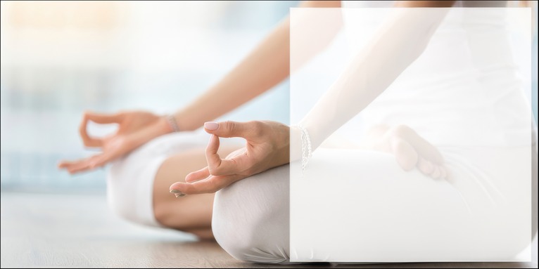 Wellness & Beauty