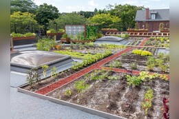 Urban Gardening – 8 Ideen & Tipps für Balkon und Fensterbank