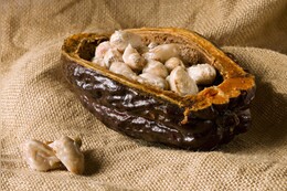 10 Gründe: Darum ist naturbelassener (roher) Kakao so gesund für Körper & Geist