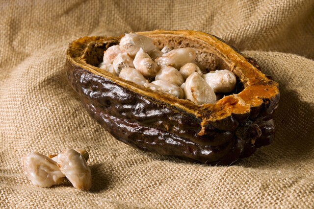 Naturbelassener (roher) Kakao | gesund | Körper & Geist