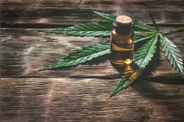 Helfen Hanföl & CBD Salbe gegen Akne? Studien und Erfahrungen zur Wirksamkeit