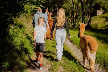 Alpakawanderung Wutschenbach