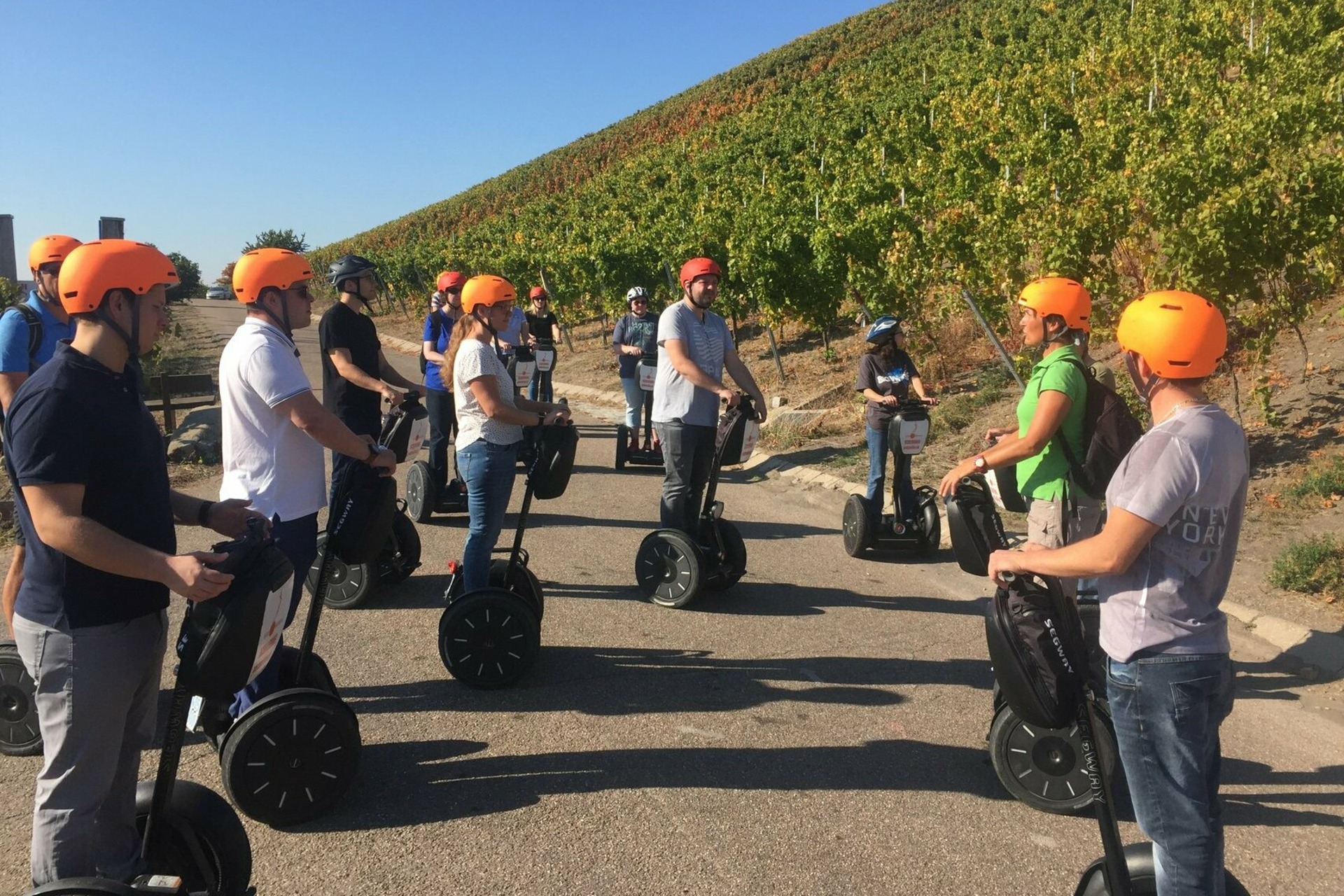 Segway Tour: Heilbronn Weinerlebnistour