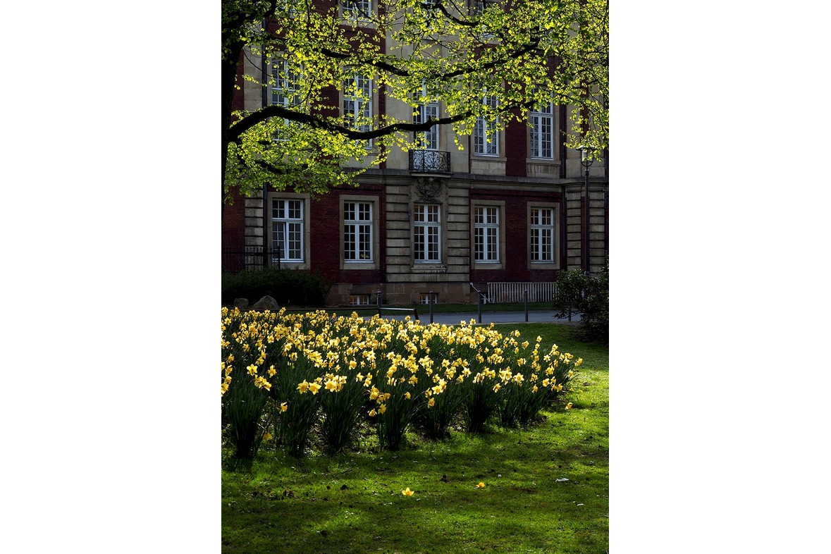 Fotokurs mit Fototour: Schloß & Botanischer Garten