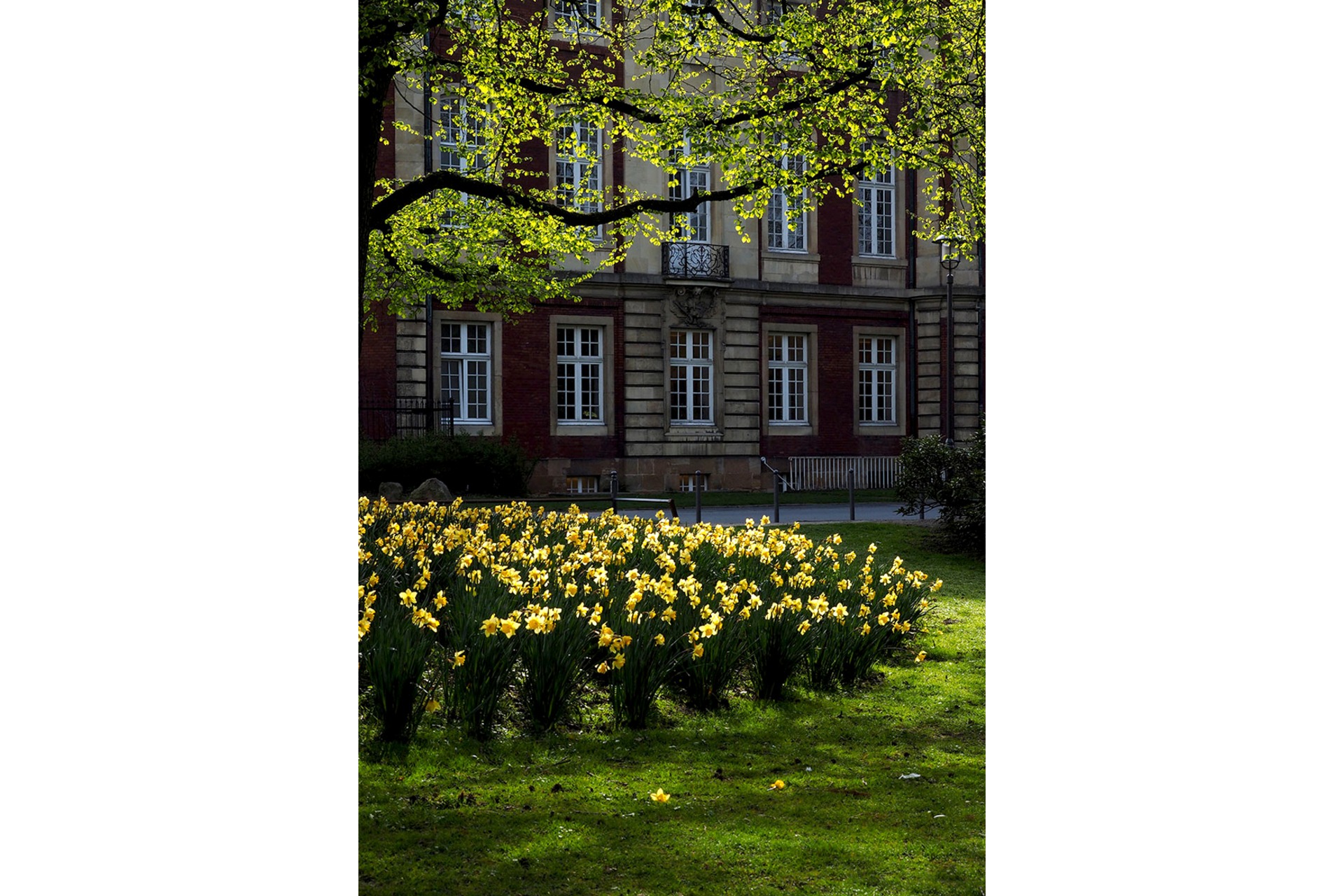 Fotokurs mit Fototour: Schloß & Botanischer Garten