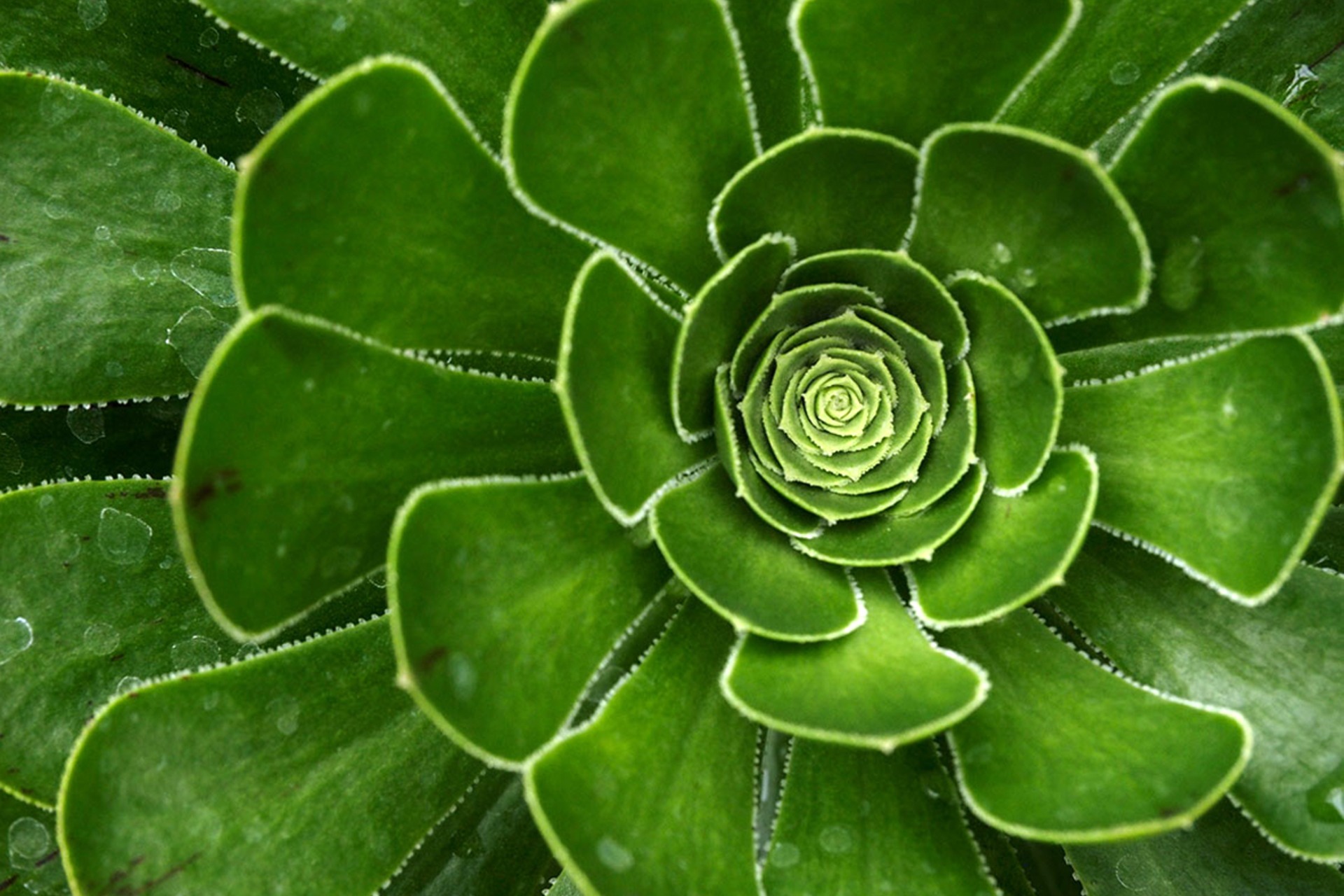 Fotokurs mit Fototour: Schloß & Botanischer Garten