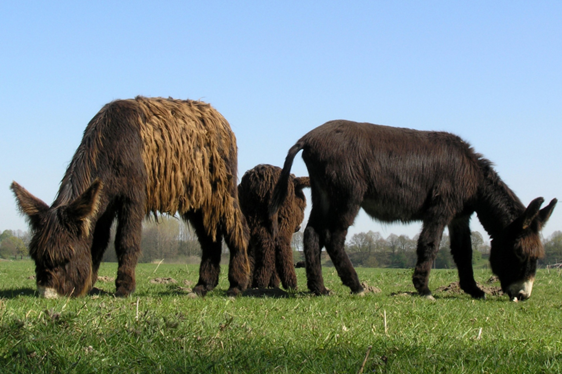 Fotokurs mit Fototour: Steverauen-Fahrrad-Tour