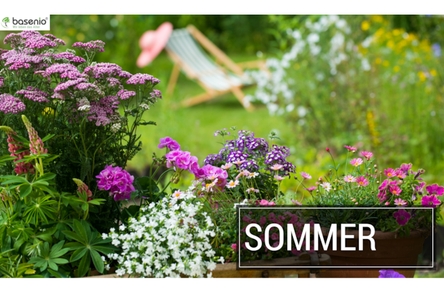 Beliebte Gartenpflanzen im Sommer