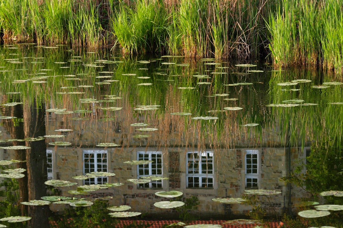 Fotokurs mit Fototour: Burg Vischering