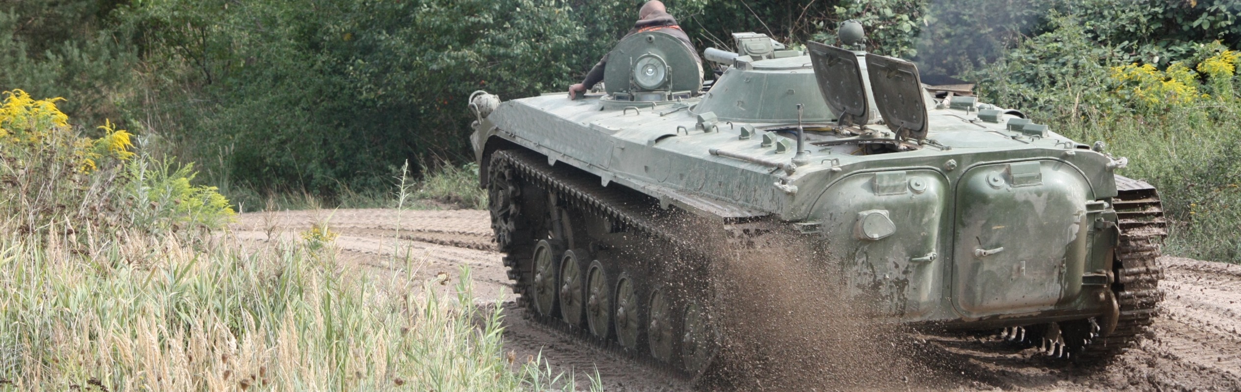 Benneckenstein (Harz)