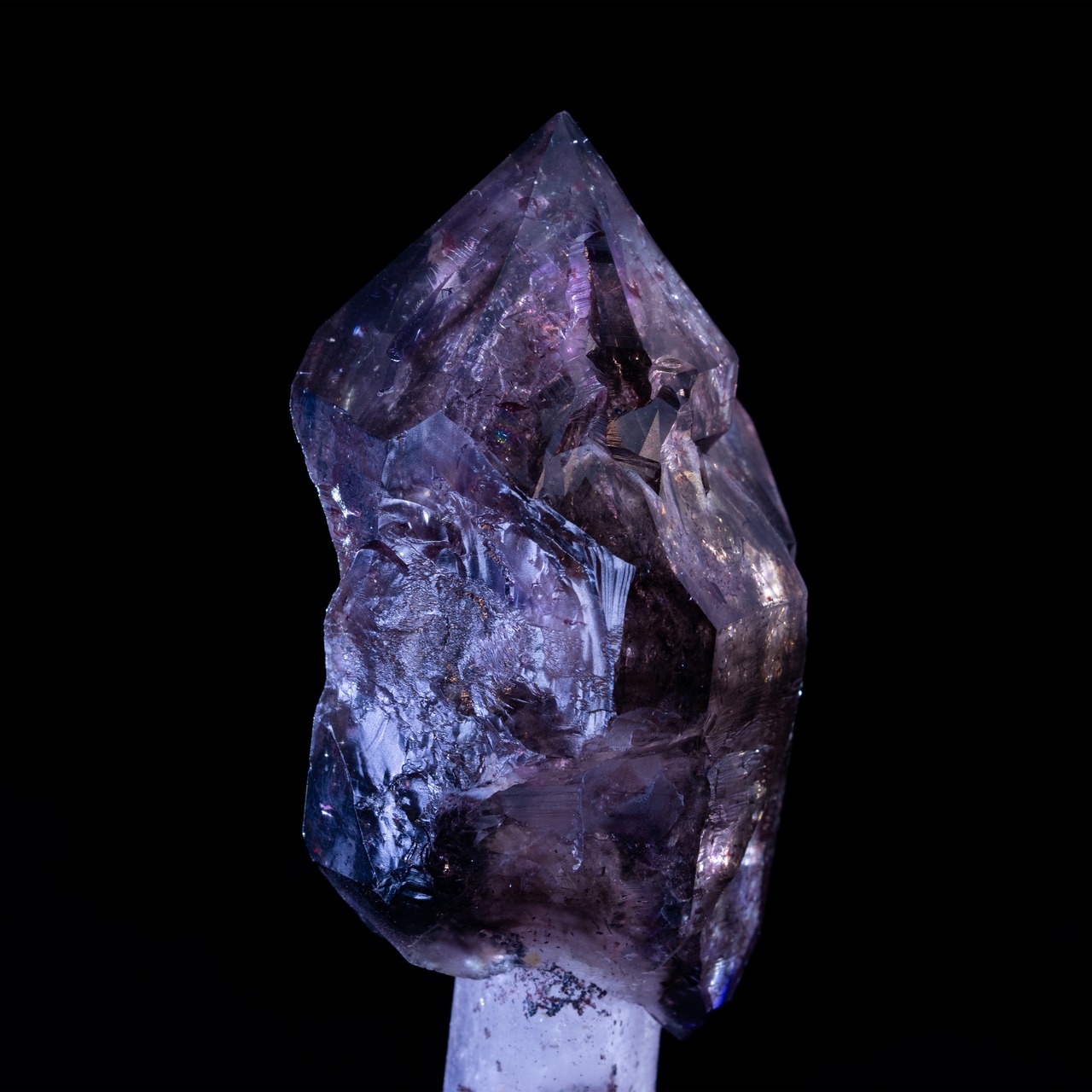 Zepterquarz Amethyst