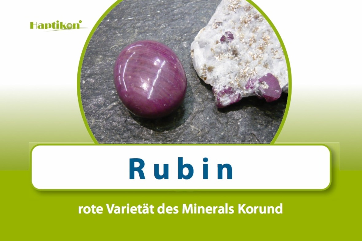 WortArchitekt - Frage-Antwort und Kommunikationsspiel